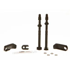 Quarq TyreWiz TL Valve and Skirt for Zipp 303